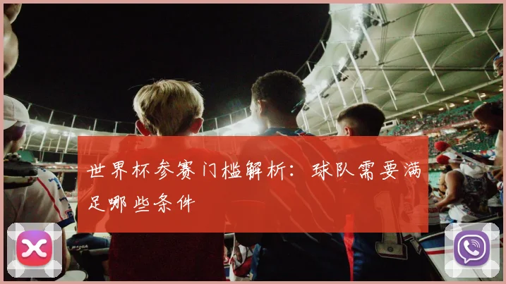 世界杯参赛门槛解析:球队需要满足哪些条件
