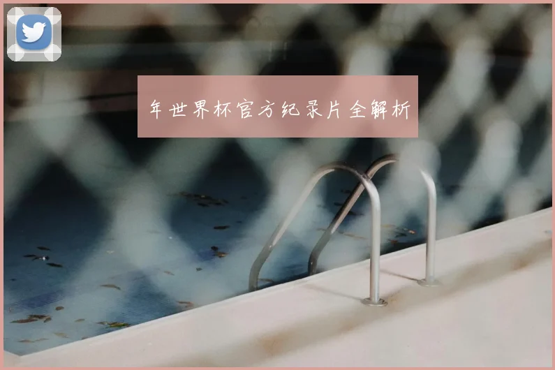 年世界杯官方纪录片全解析