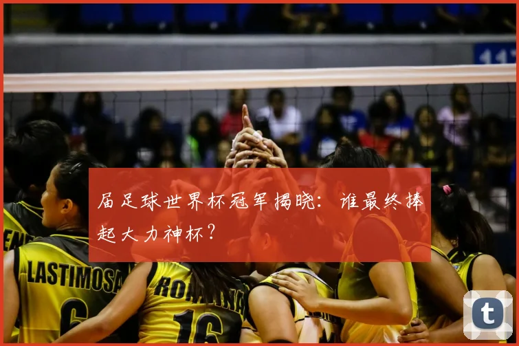 届足球世界杯冠军揭晓：谁最终捧起大力神杯？